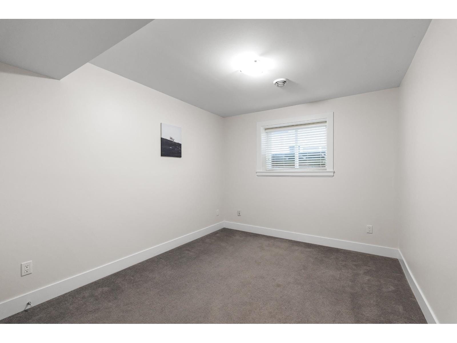 2 Bedroom Basement Suite for Rent - 194A St, Surrey, BC 4