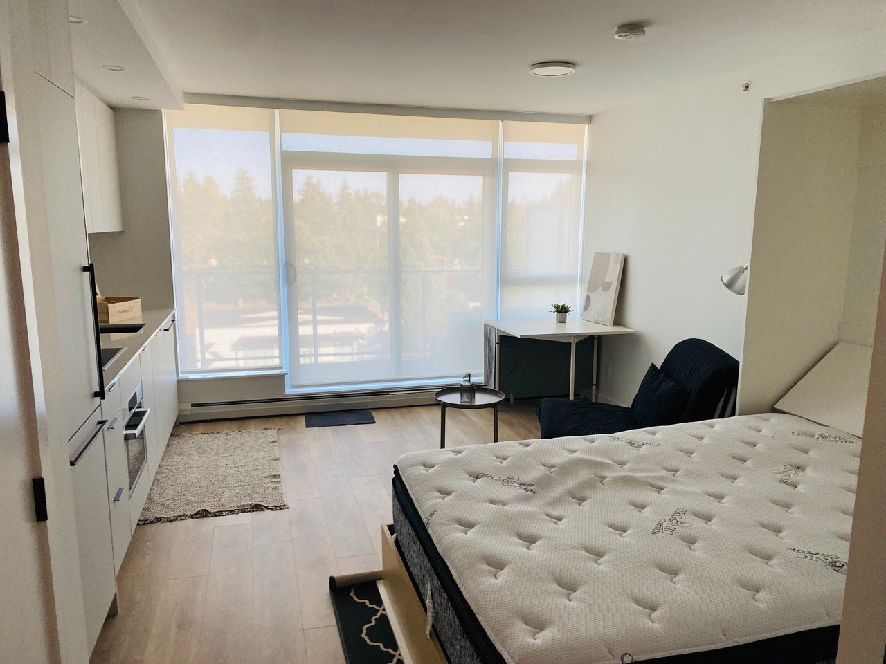 Studio Apartment for Rent - 13685 102 Ave, Surrey, BC 4