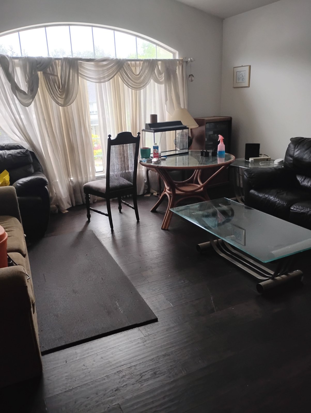 Room in House for Rent - 1265 Lincoln Dr, Port Coquitlam, BC 4