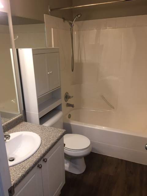 2 Bedroom Apartment for Rent - 15628 100 Avenue NW, Edmonton, AB 5