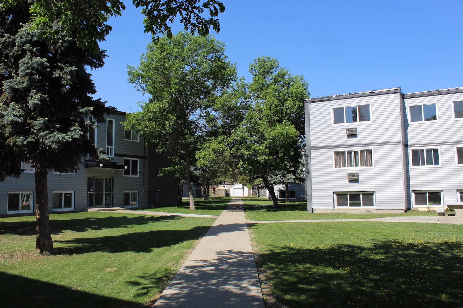 Studio Apartment for Rent - 11730 C 127 Street NW, Edmonton, AB 2