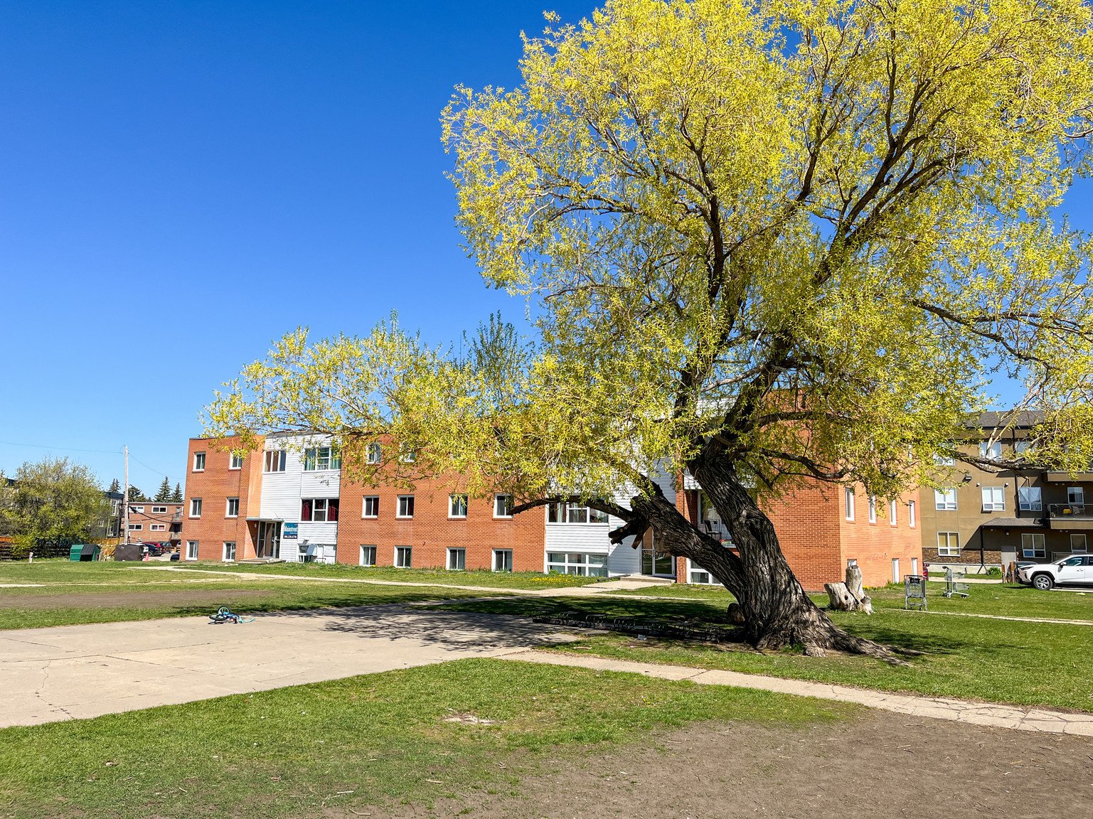 Studio Apartment for Rent - 8 /12/16/20 Bateman Crescent, Saskatoon, SK 2